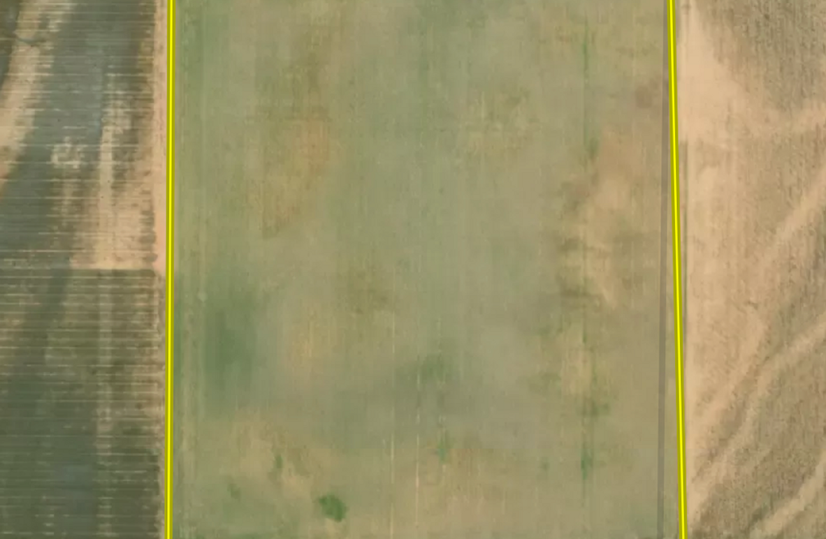 Screenshot 2025-11-12 at 10.00.54 AM