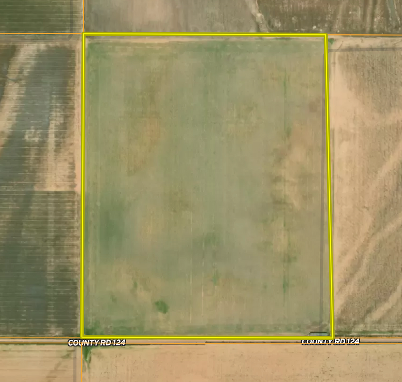 Screenshot 2025-11-12 at 10.00.54 AM