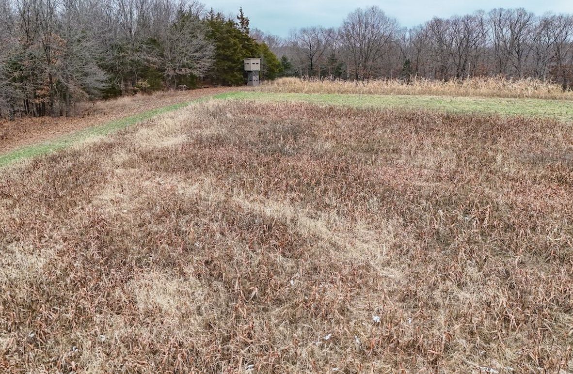 Copy of dji_fly_20251208_003354_0001_1765138884162_photo