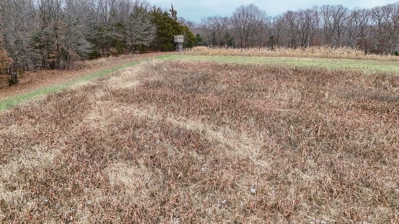 Copy of dji_fly_20251208_003354_0001_1765138884162_photo