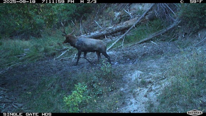 35AF03C8-816E-4BB6-84BC-50040C45ADDA