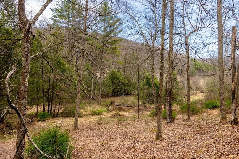 43-web-or-mls-IMG-43