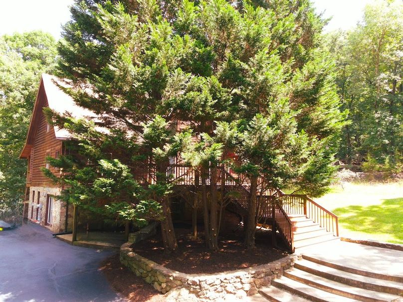 dji_fly_20250623_151718_704_1750706252657_photo