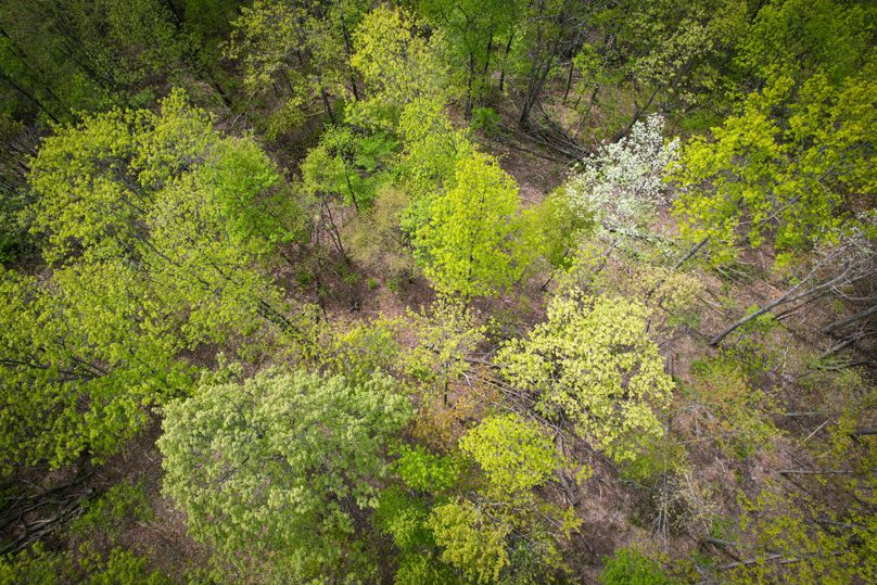 Chemung_44.5_ Briggs _Photos_51