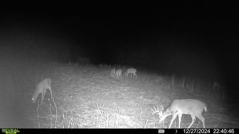 016579000764733-100-3-12272024224046-V-SYFW02468