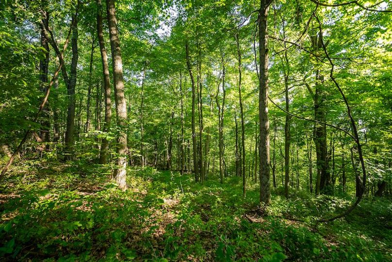 Wetzel WV 171 Featured_Pro Photo-46