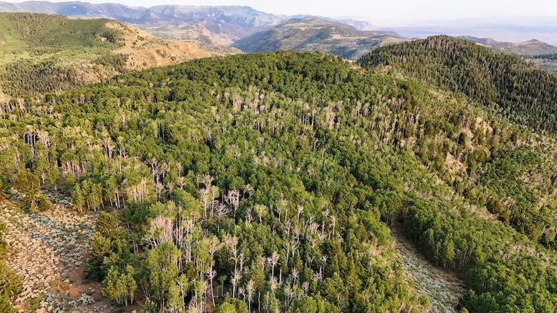 DJI_20250726190821_0291_D