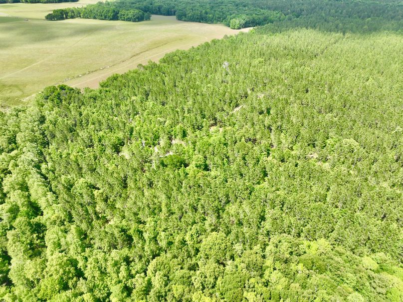 dji_fly_20230426_150728_319_1682536351733_photo