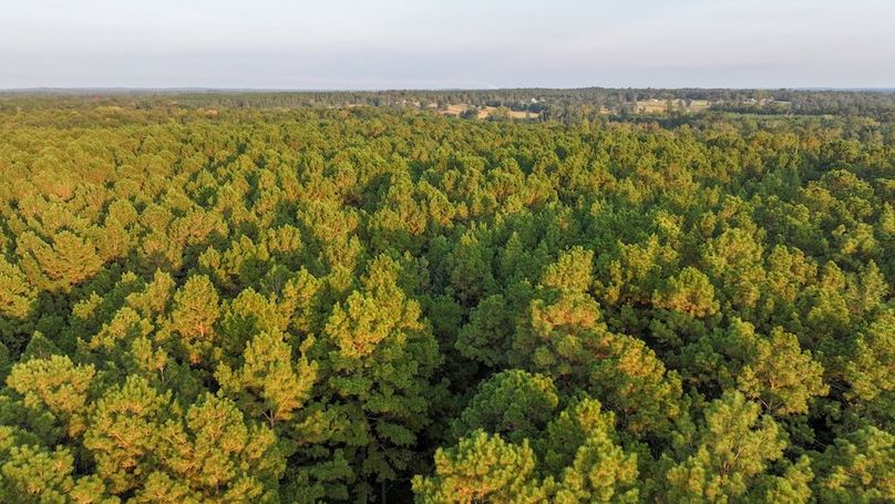 DJI_20250918182326_0218_D