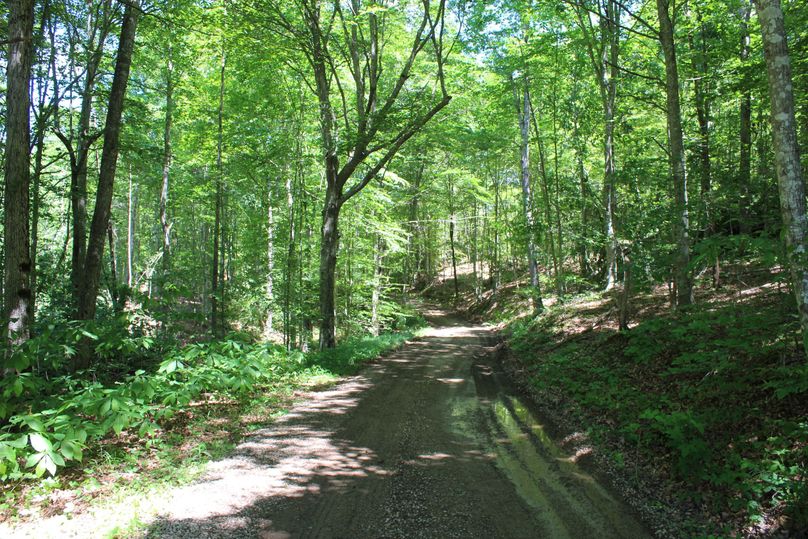 021 the access road leading into the cemetery from Butler Ridge Road