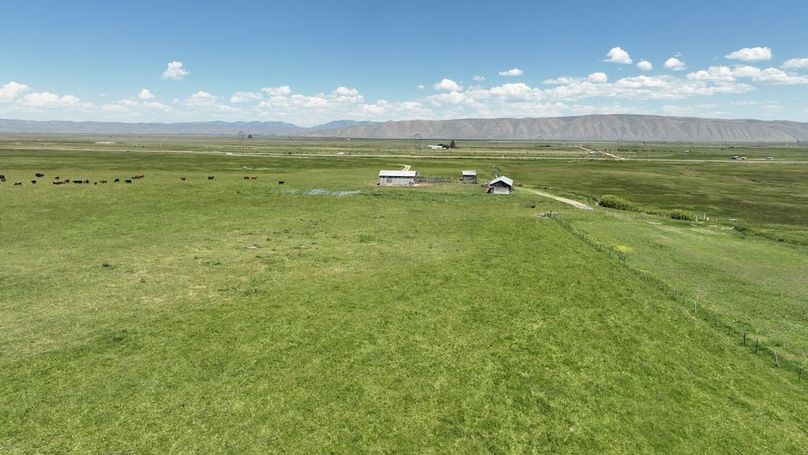 DJI_0575