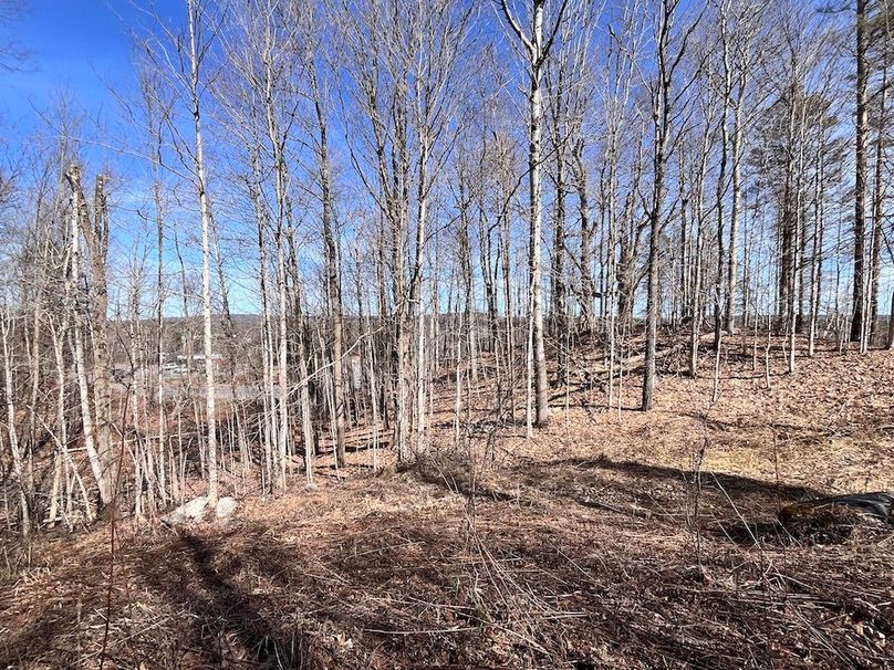 Lewis_26_Somberg Photo 8