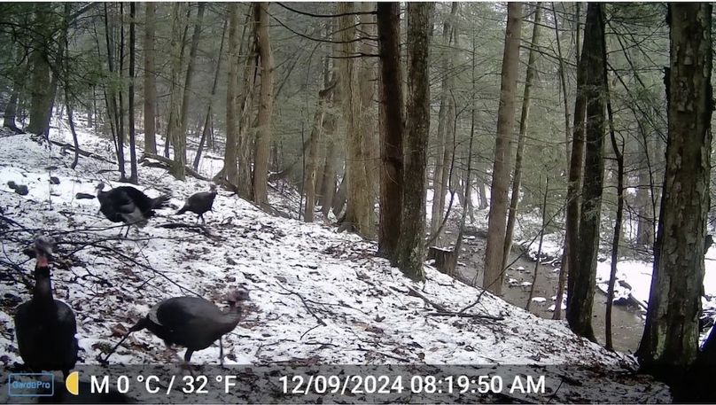 Screenshot 2026-02-25 213753