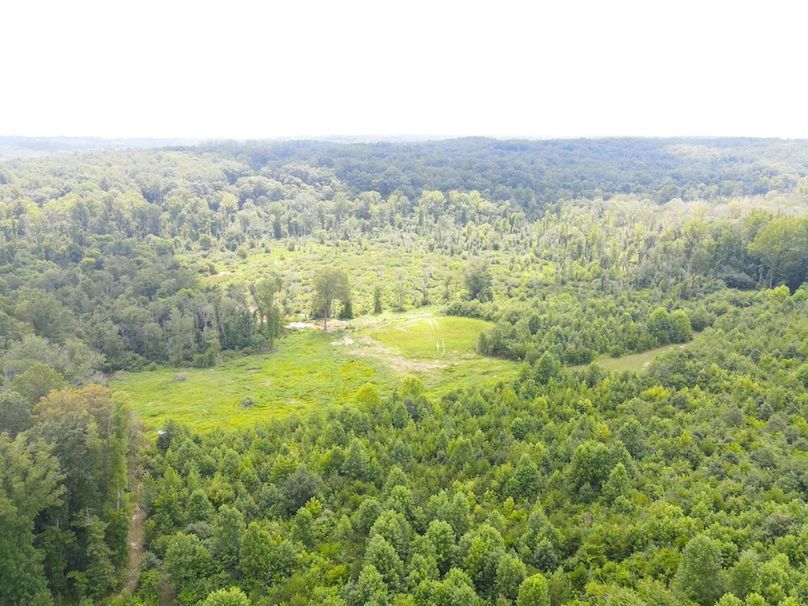 dji_fly_20250729_121954_757_1753806021595_photo