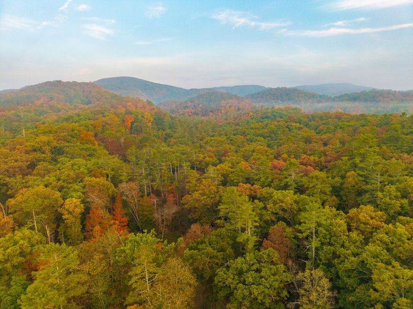 DJI_20250922073044_0027_D