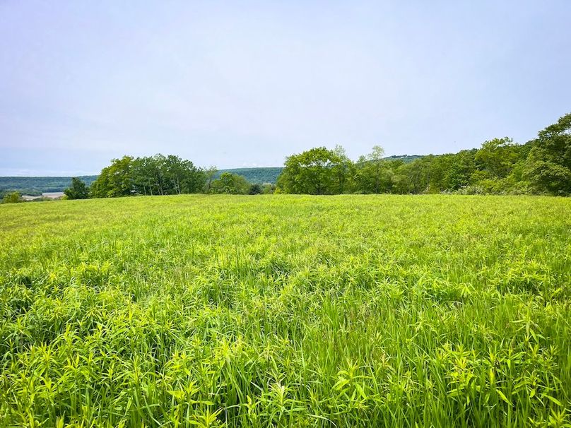 Tioga_31.4_Kemp_Photos_29