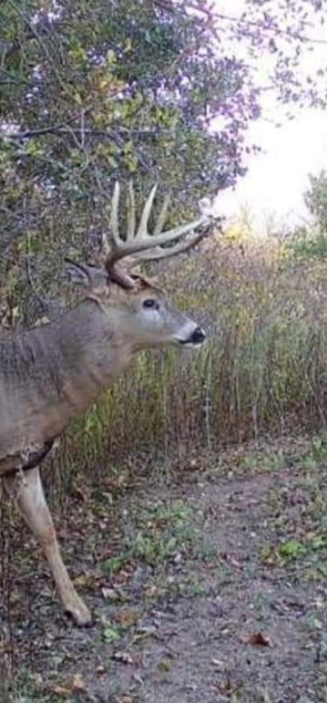 Screenshot_20230811_170942_Gallery