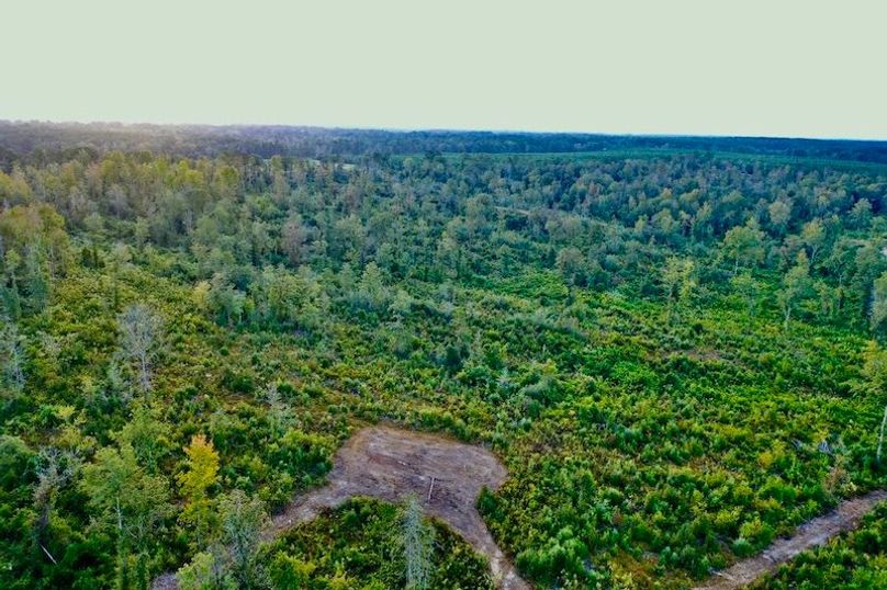 3910233A-7547-44A9-817F-C61ECE0E1F6E_1_105_c