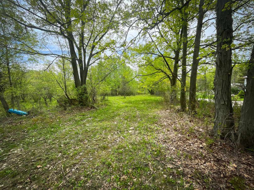 Chemung_44.5_ Briggs _Photos_5