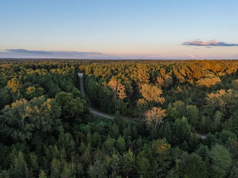 9 Edited Harison co. 206 - Ed Robb-037