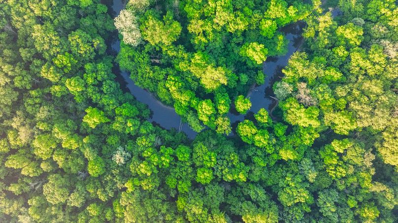 DJI_20250516055422_0009_D