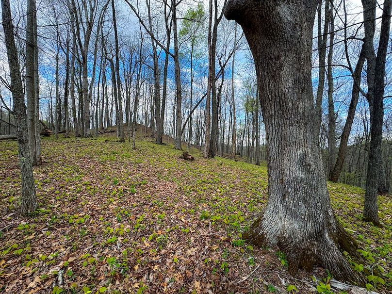 Calhoun, WV 132.84 AC Szegi 2-107