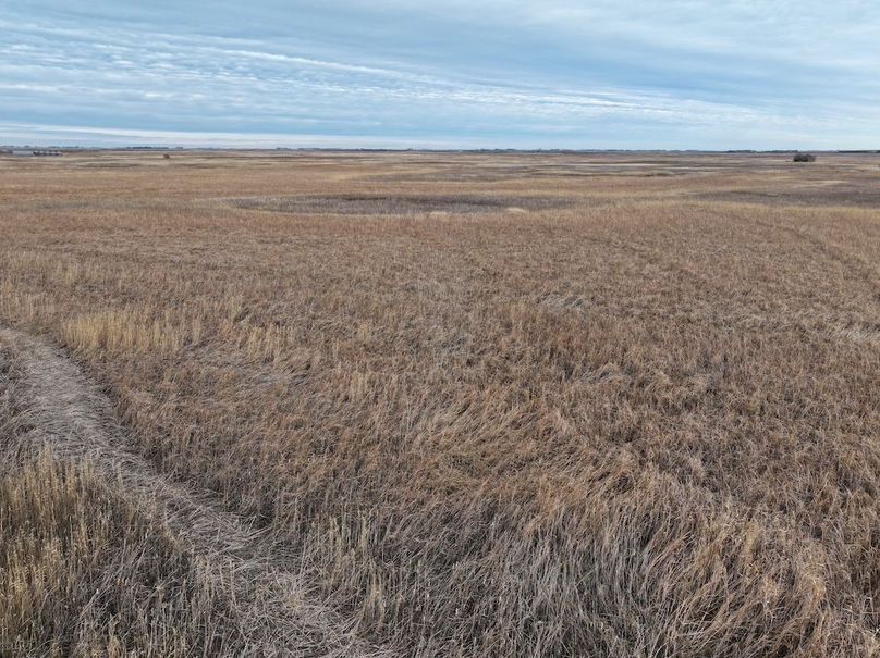 DJI_20241118112938_0313_D