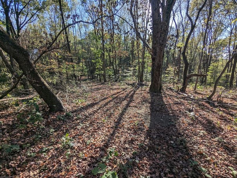 PXL_20251001_210331943