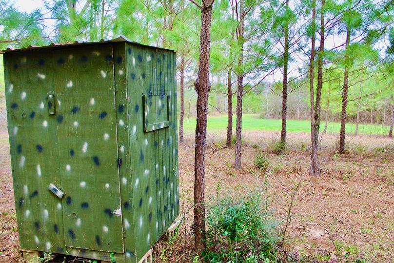 5161B4F1-0E08-422F-B049-04A8115F2A1F_1_105_c