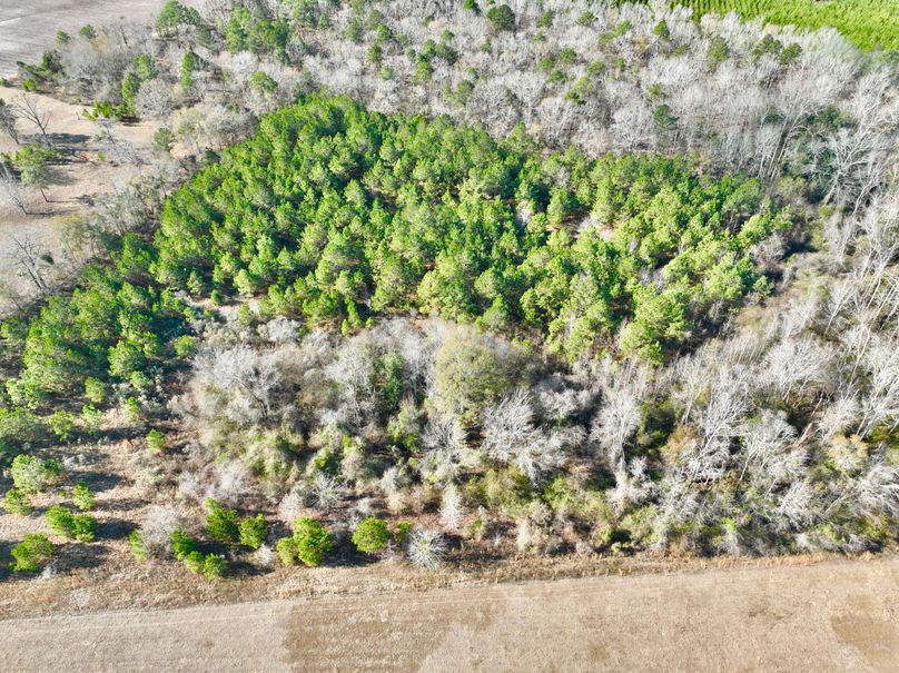 dji_fly_20231230_110016_10_1703952420095_photo