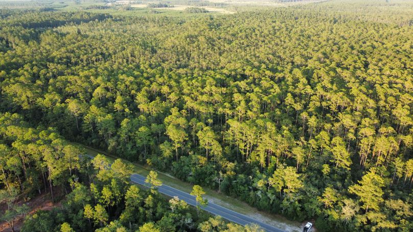 dji_fly_20230624_194806_58_1687650495685_photo_optimized