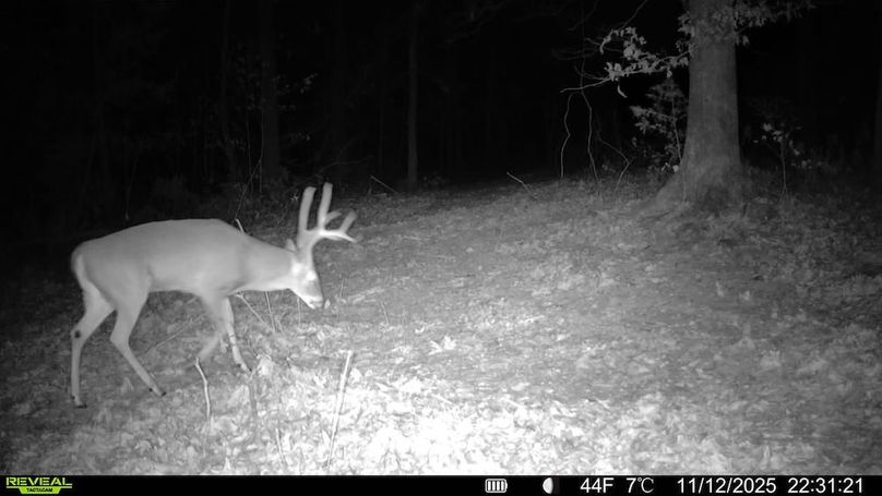 016579003514002-74-4-11122025223121-SYFW00261