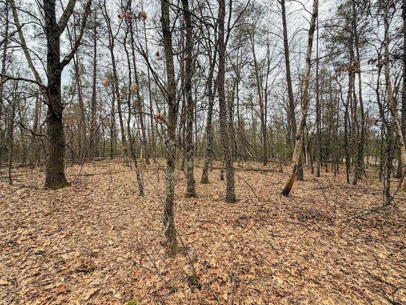 Juneau 1.53 Northgate-7