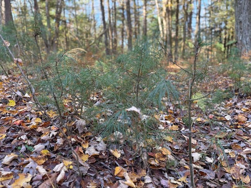 Oswego_26.28_Koehler Photo 20