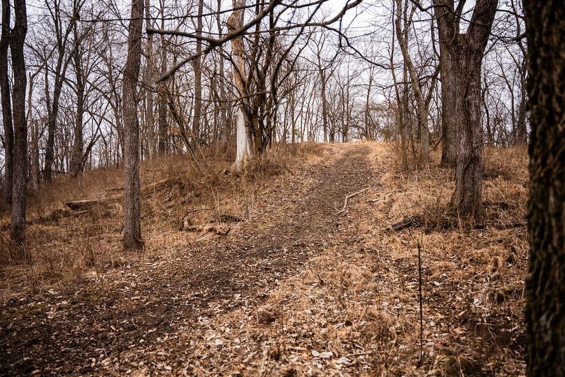 Pike IL 96.87 Adv Pro Photo-33