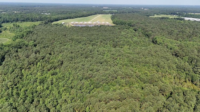 DJI_20250627095347_0106_D