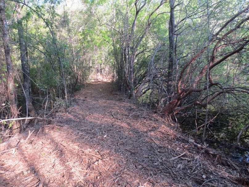 D7697AC2-CEA5-4E64-98E4-D64F85D762B2_1_105_c