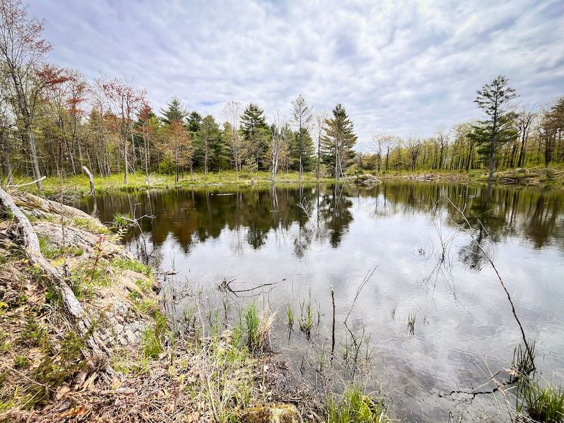 Jefferson_148.1_Flood_Photos_64