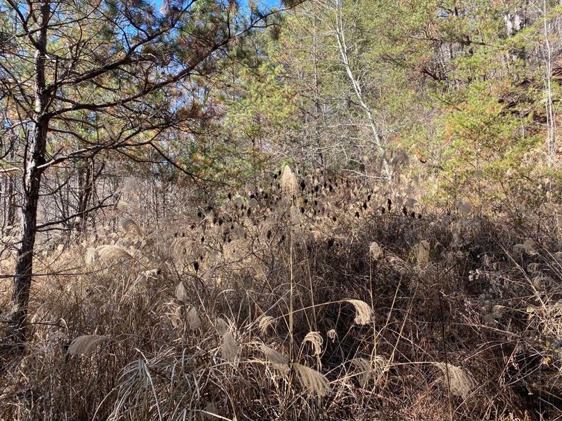 027 some thick bedding areas on a south facing point