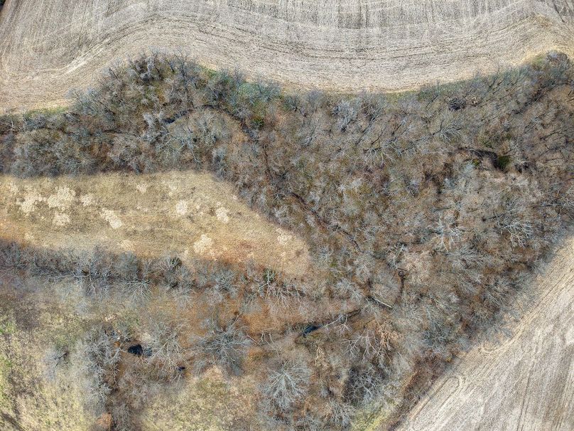 DJI_20260228072357_0040_D