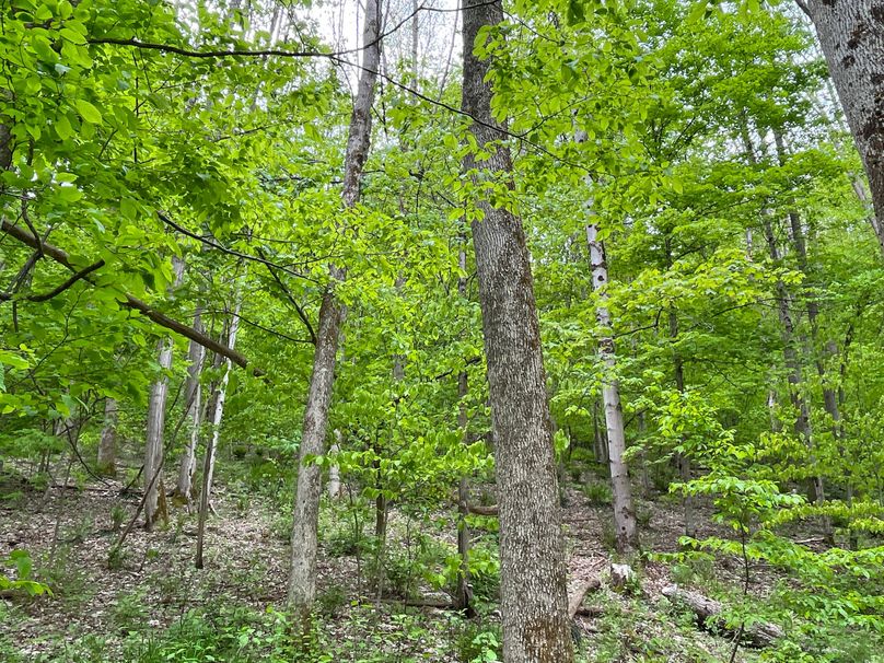 Tioga_18.72_Coulson Photo 8