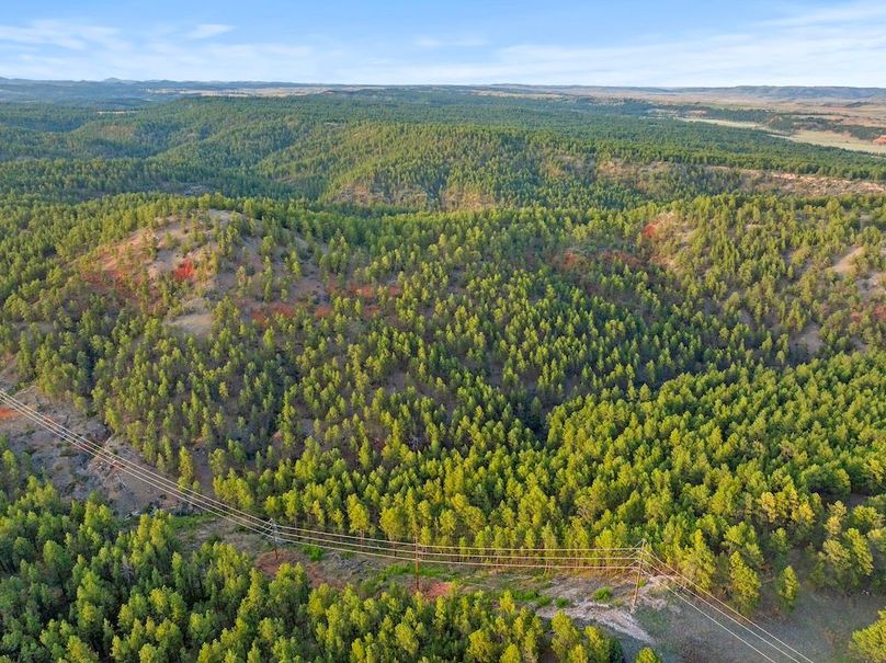 16-DJI_20250507190307_0812_D