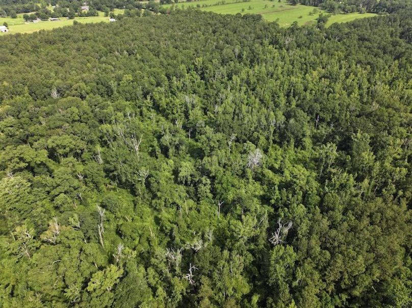 dji_fly_20250624_100550_0135_1750950816558_photo