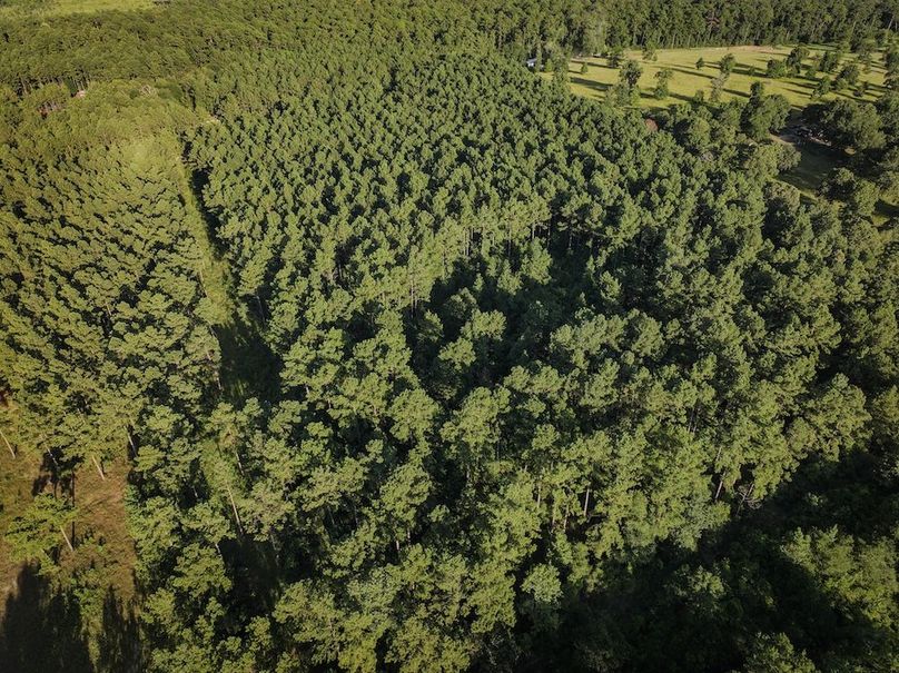 Copy of DJI_20240704190945_0039_D