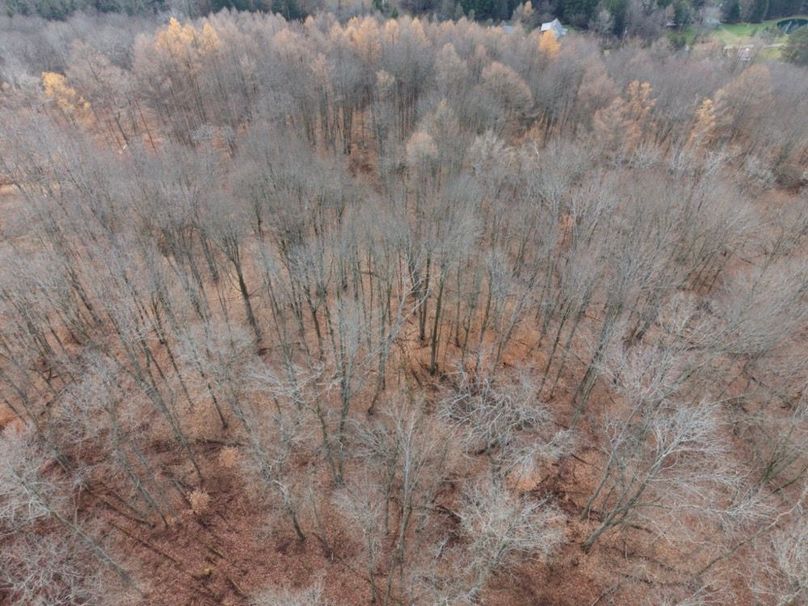 DJI_20251122115302_0069_D