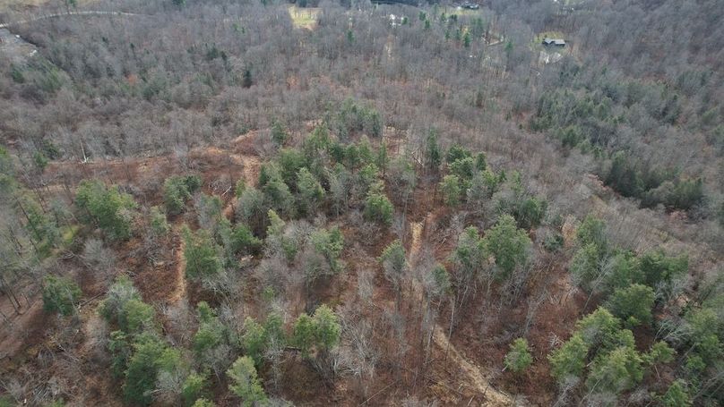 dji_fly_20251124_130756_23_1764007926284_photo