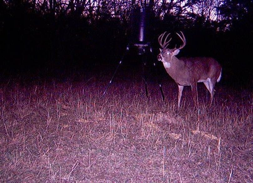Trail Cam 4