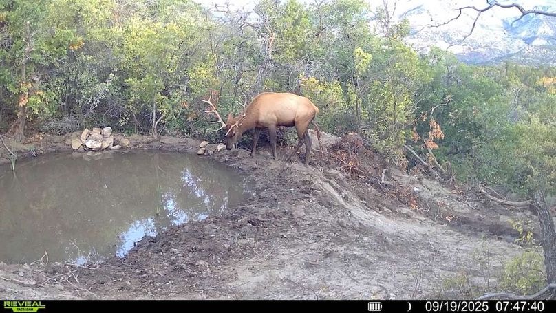 016578004083249-79-2-09192025074740-V-SYFW00270