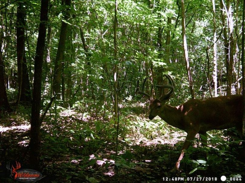 16222-MMS-1534362504157-attachment1-WGI_0064