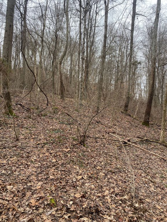 Greenup Ky Mauk 46.15 11